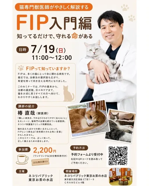 猫専門獣医師が解説する FIP入門編 セミナービジュアル